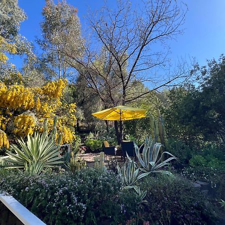 Villa La Reforma - Newly Designed 4Br House & Pool In Los Angeles By Topanga Ngoại thất bức ảnh