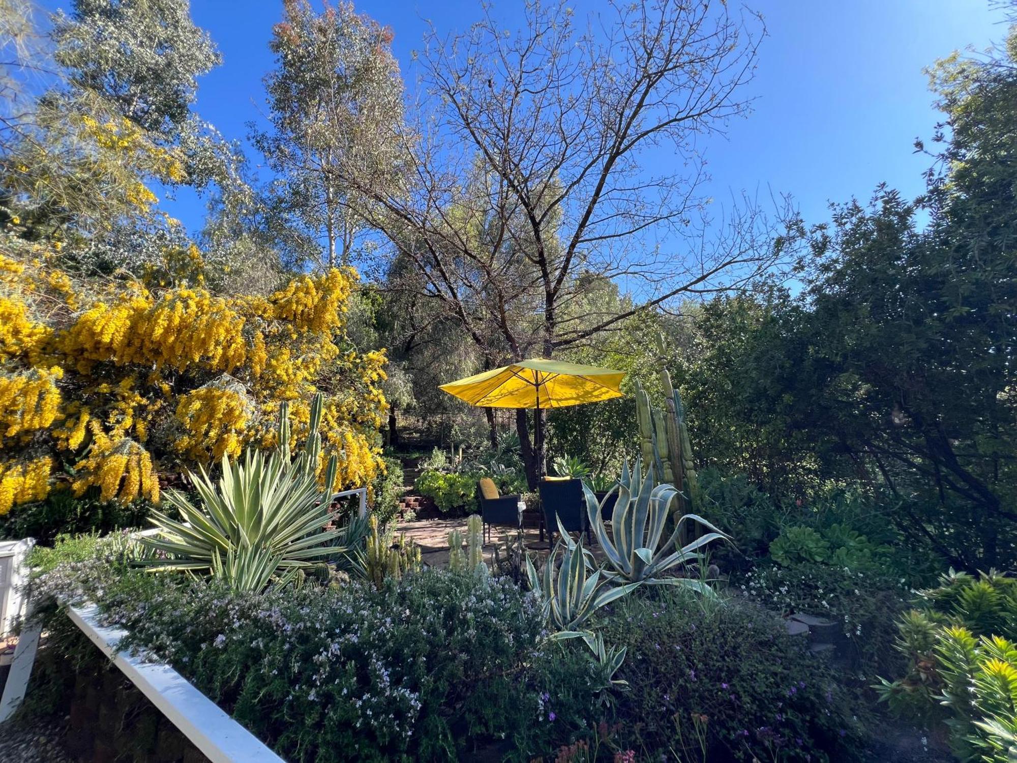 Villa La Reforma - Newly Designed 4Br House & Pool In Los Angeles By Topanga Ngoại thất bức ảnh